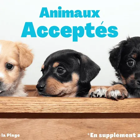 Maison Spacieuse Avec Piscine Privee Et Jardin A Jean De Monts - Fr-1-323-381 Tatil Evi